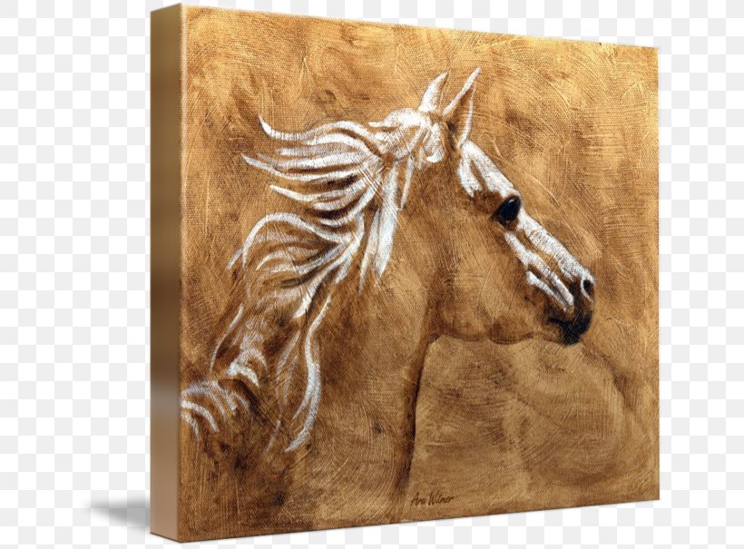 Arabian Horse Mustang Mane Gallery Wrap Canvas, PNG, 650x605px, Arabian Horse, Art, Canvas, Coasters, Fauna Download Free