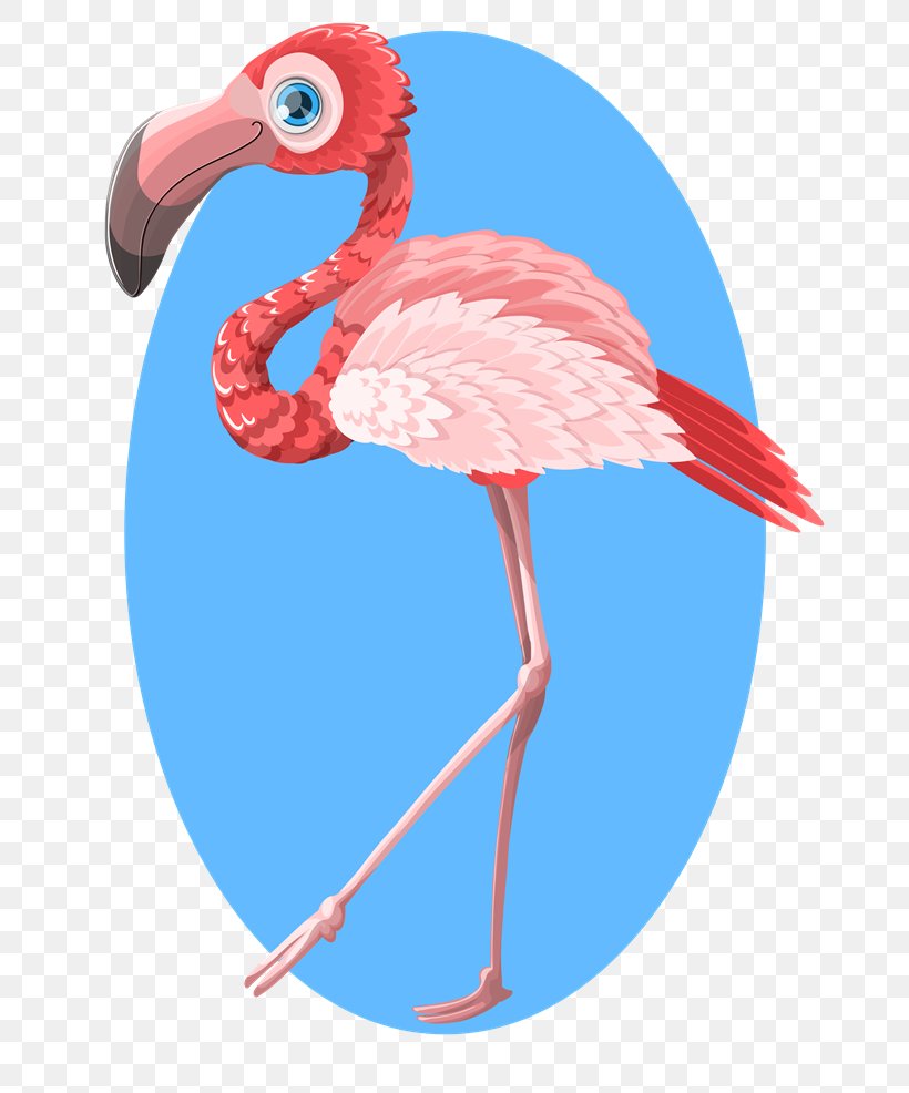 Flamingo Clip Art, PNG, 800x986px, Flamingo, Beak, Bird, Pink, Public Domain Download Free