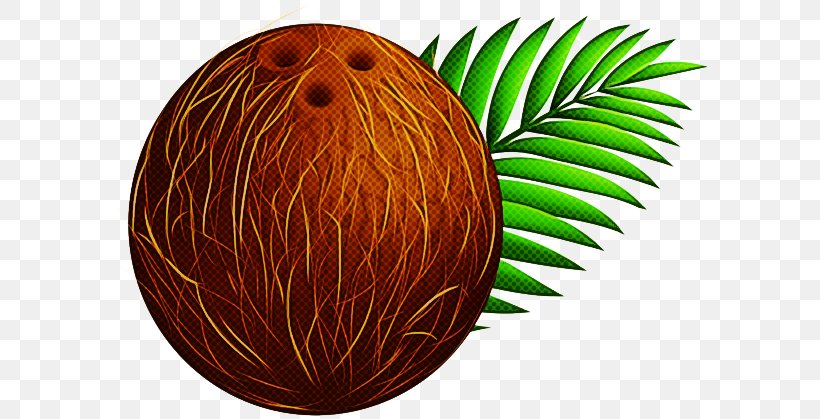 Palm Tree Background, PNG, 600x419px, Fruit, Arecales, Easter Egg, Grass, Leaf Download Free
