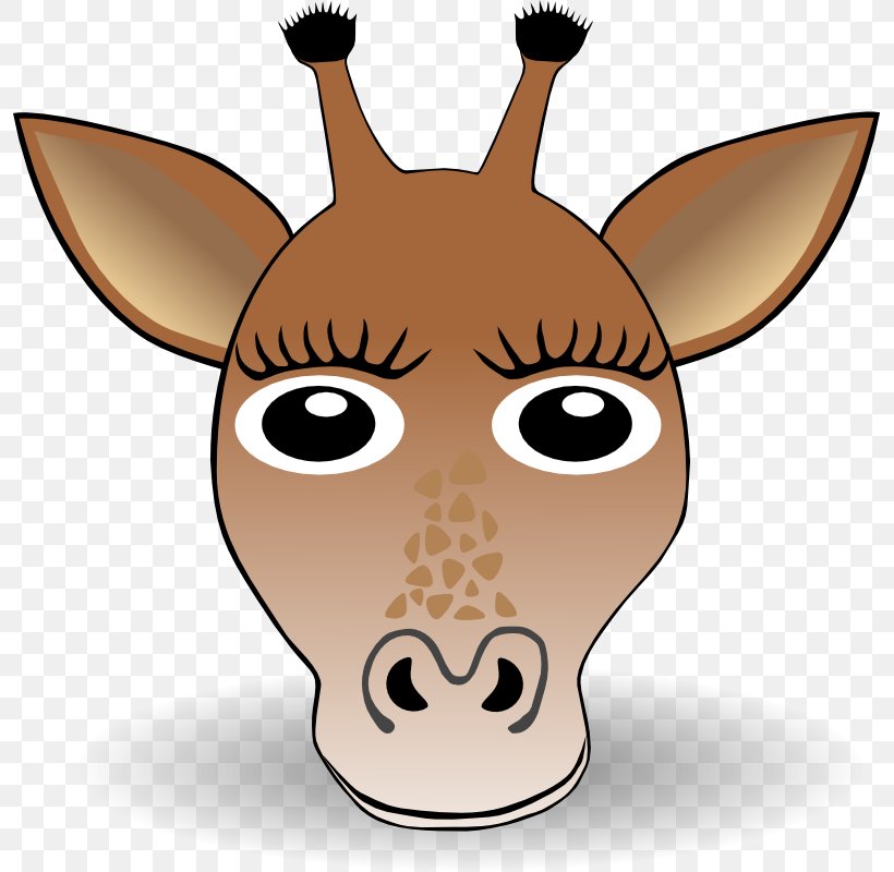 Giraffe Face Clip Art, PNG, 795x800px, Giraffe, Cartoon, Cuteness, Drawing, Face Download Free