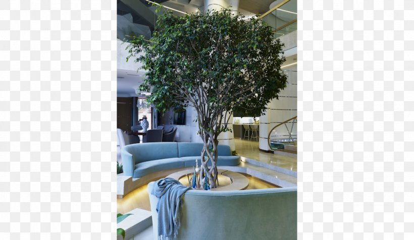 Property Tree Furniture Houseplant, PNG, 1024x594px, Property, Furniture, Home, Houseplant, Outdoor Structure Download Free