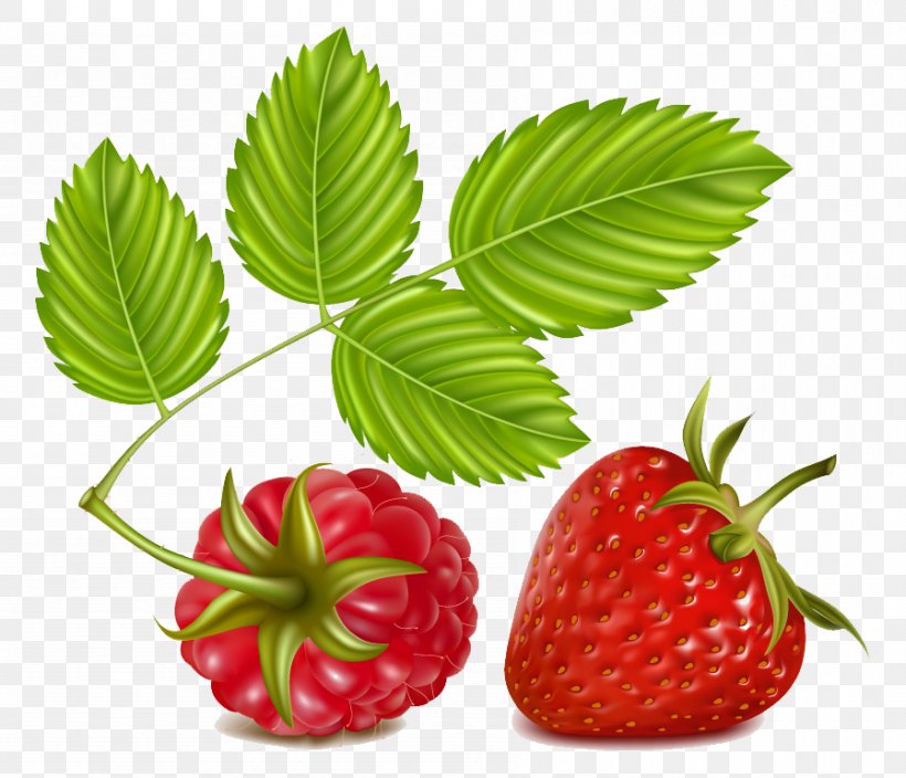 Strawberry Raspberry Clip Art, PNG, 897x771px, Strawberry, Berry, Blackberry, Blueberry, Food Download Free