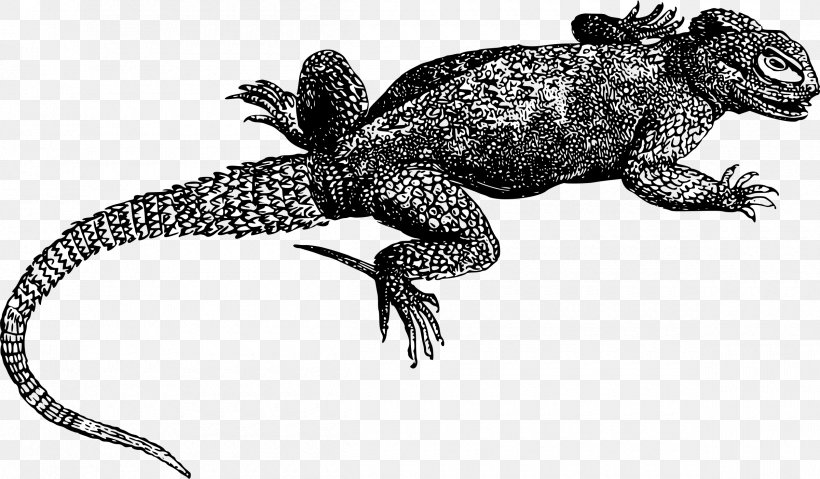 Lizard Reptile Gecko Komodo Dragon Chameleons, PNG, 2400x1402px, Lizard, Agama, Agamidae, Amphibian, Animal Figure Download Free