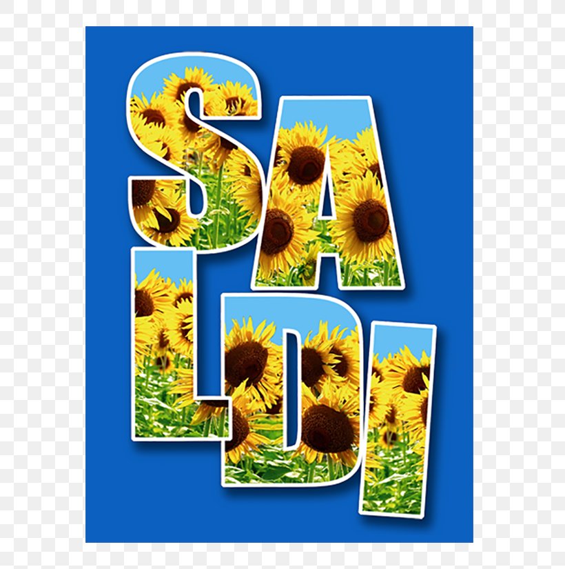Display Window Vetrofania Opruiming Sticker Decoratie, PNG, 700x825px, Display Window, Common Sunflower, Decoratie, Discounts And Allowances, Flora Download Free