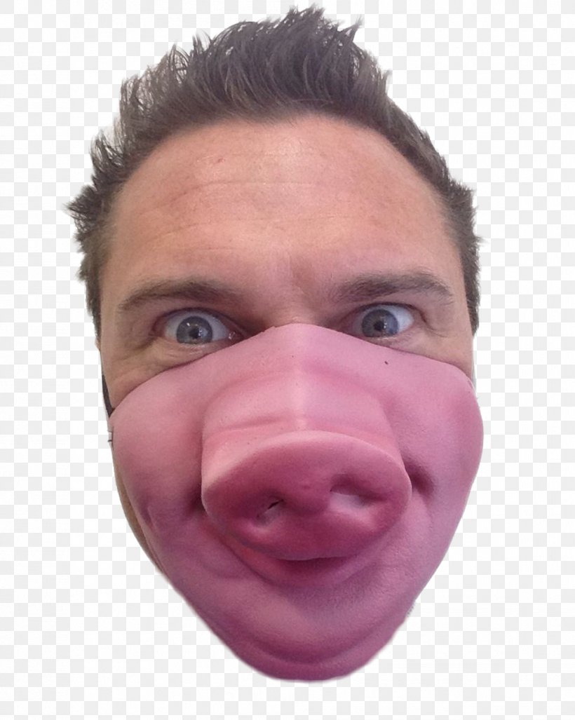Snout Pig Mask Costume Party, PNG, 1006x1261px, Snout, Bachelor Party, Cheek, Chin, Close Up Download Free