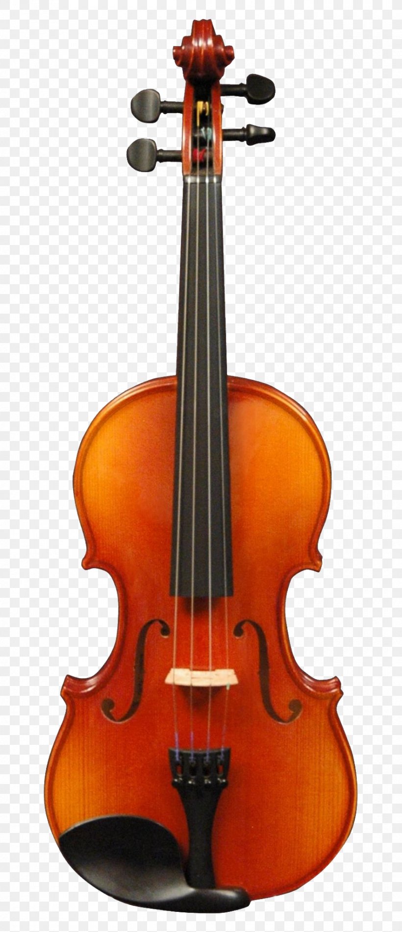 String Instrument Musical Instrument String Instrument Viola Violin, PNG, 880x2042px, String Instrument, Bass Violin, Musical Instrument, Tololoche, Viola Download Free