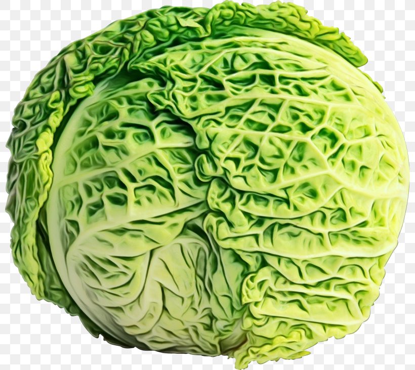 Vegetables Cartoon, PNG, 800x731px, Romaine Lettuce, Big Idea Holdings Llc, Cabbage, Chinese Cabbage, Collard Download Free