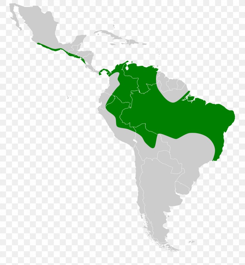 Latin America United States Caribbean South America Southern Cone Central America, PNG, 1200x1297px, Latin America, Americas, Caribbean South America, Central America, Geography Download Free