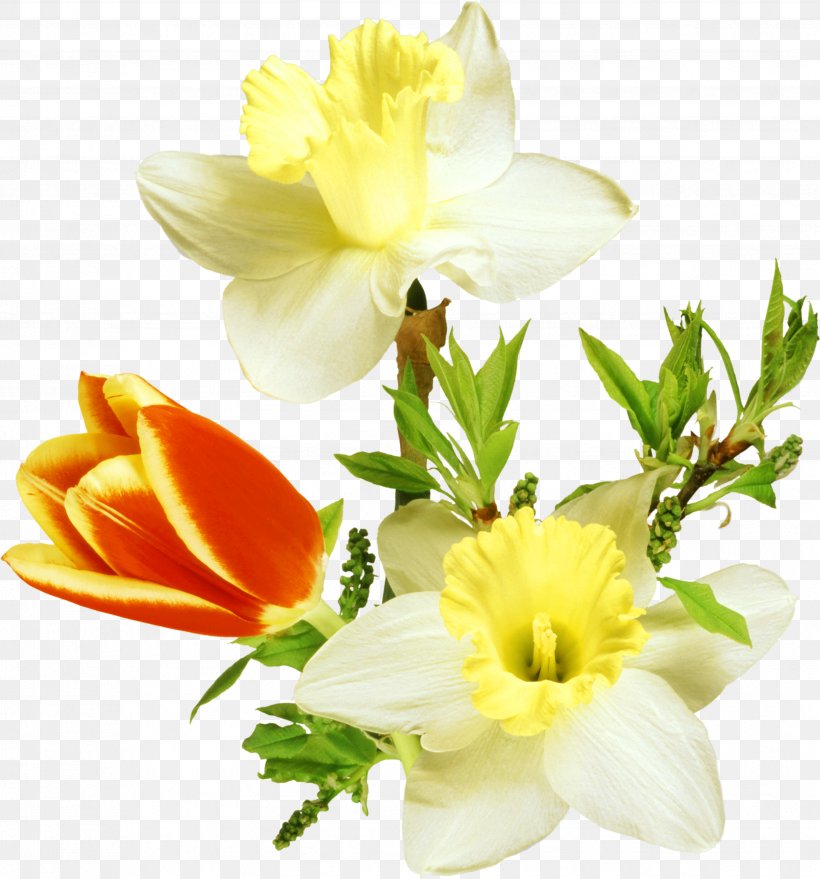 March 8 Clip Art, PNG, 3456x3707px, March 8, Cut Flowers, Floral Design, Floristry, Flower Download Free