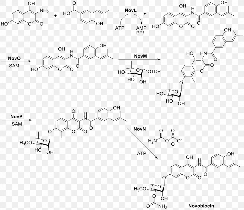 Novobiocin Chemical Synthesis Rifampicin Sulfadoxine Excretion, PNG, 2142x1852px, Novobiocin, Area, Bioavailability, Biosynthesis, Black And White Download Free