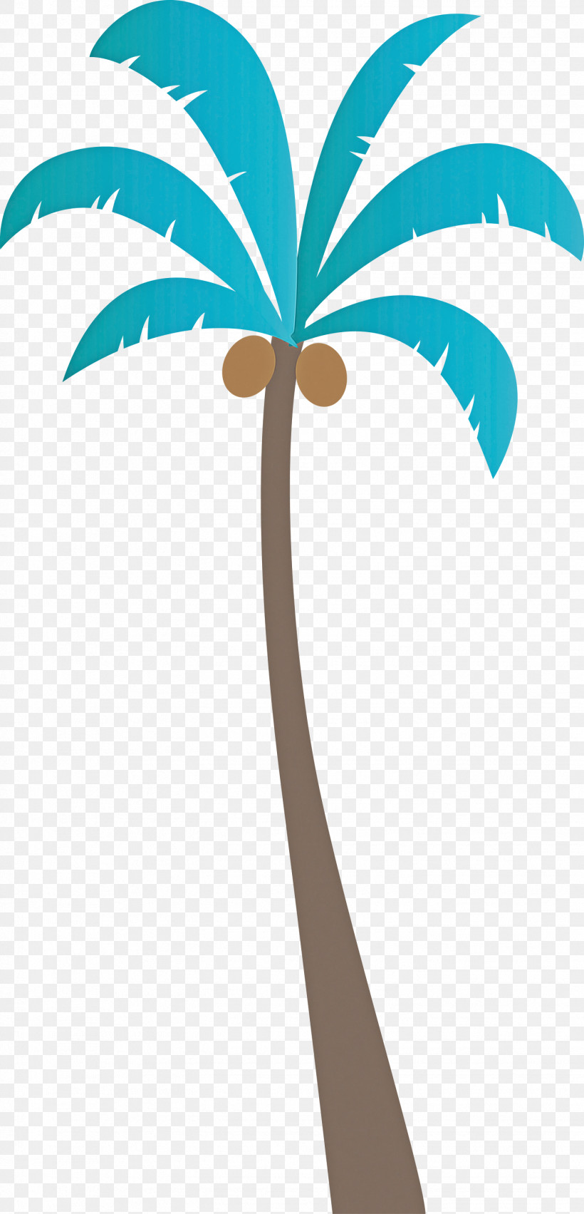 Palm Trees, PNG, 1444x3000px, Palm Tree, Beach, Bud, Cartoon Tree, Fig Trees Download Free