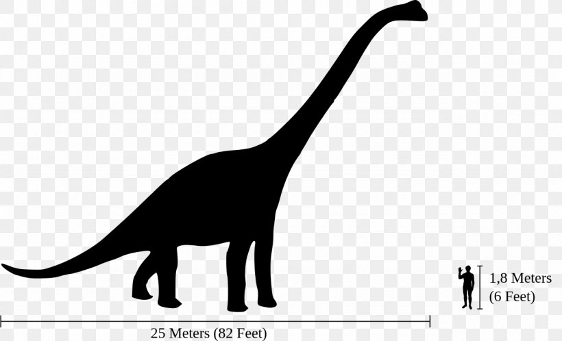 Brachiosaurus Giraffatitan Morrison Formation Dinosaur Size Diplodocus, PNG, 1280x778px, Brachiosaurus, Barosaurus, Black And White, Brachiosauridae, Carnivoran Download Free