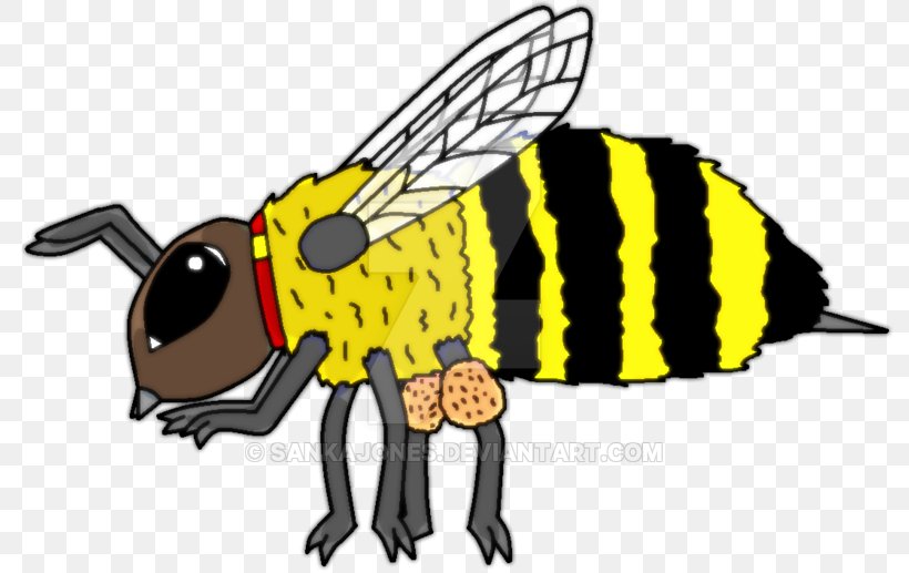Honey Bee Cartoon Clip Art, PNG, 800x517px, Honey Bee, Animal, Animal Figure, Artwork, Bee Download Free