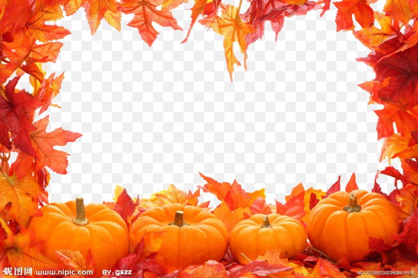 Autumn Leaf Color Clip Art, PNG, 1024x683px, Autumn, Autumn Leaf Color, Calabaza, Cucurbita, Fruit Download Free