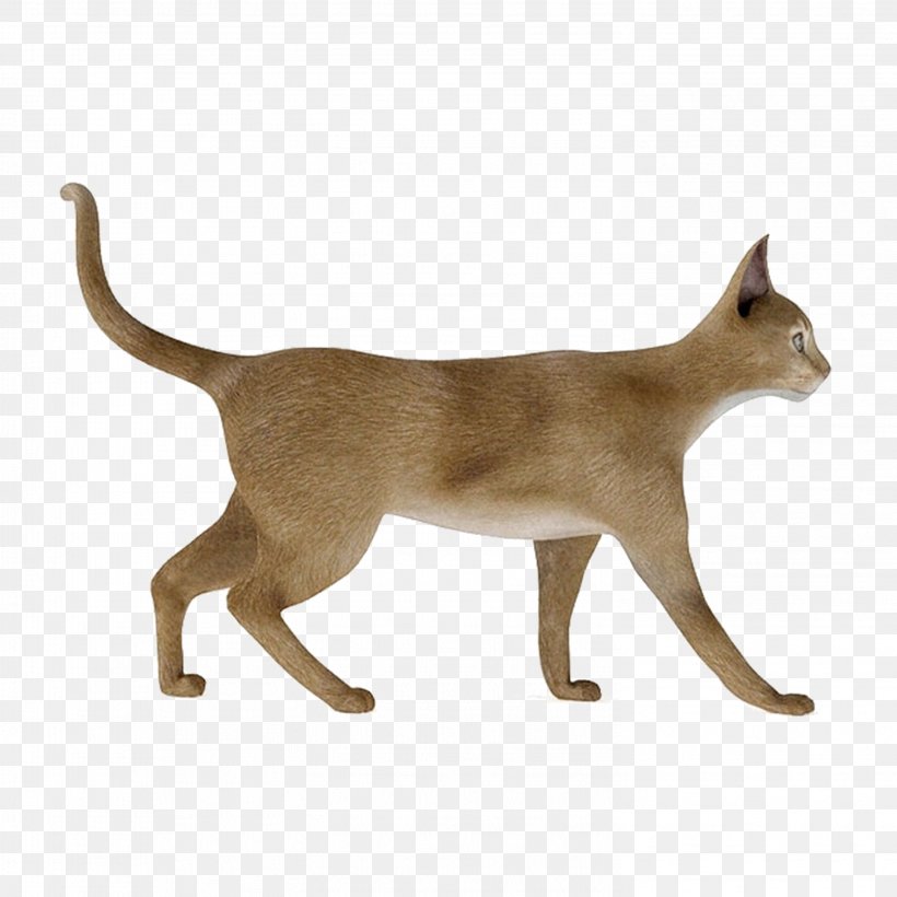 Cat 3D Computer Graphics 3D Modeling Autodesk 3ds Max Texture Mapping, PNG, 2953x2953px, 3d Computer Graphics, 3d Modeling, Cat, Abyssinian, Animal Download Free
