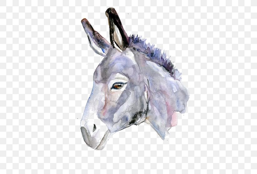 Donkeys In North America Watercolor Painting Drawing, PNG, 564x555px, Donkey, Art, Donkeys In North America, Drawing, Horse Like Mammal Download Free