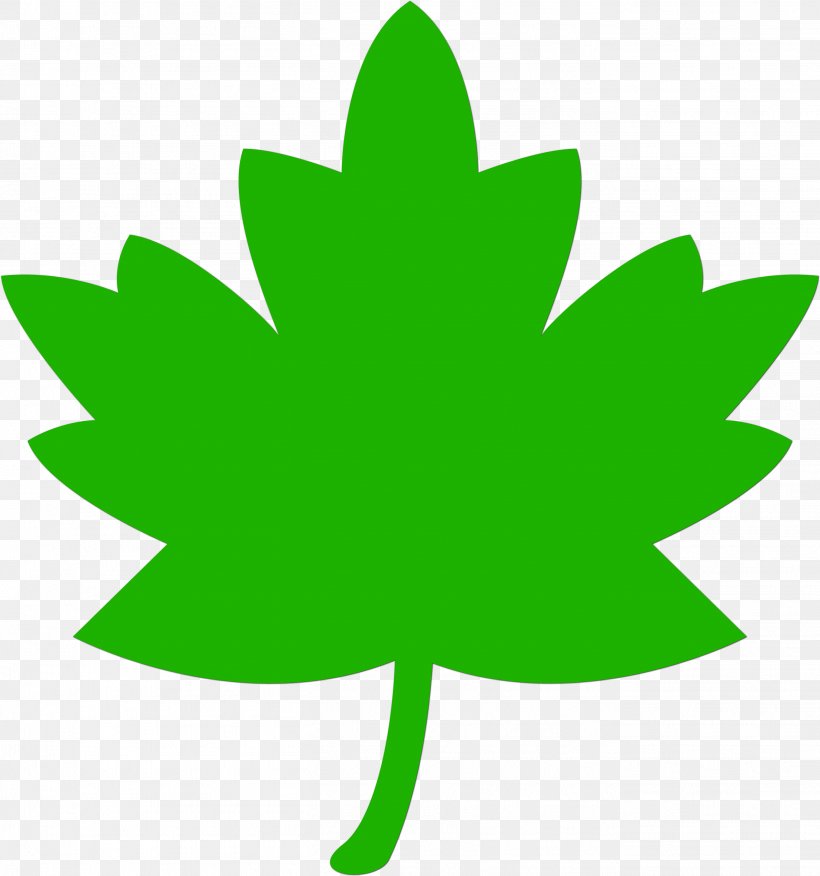 Maple Leaf, PNG, 2707x2894px, Leaf, Green, Maple Leaf, Plant, Symbol Download Free