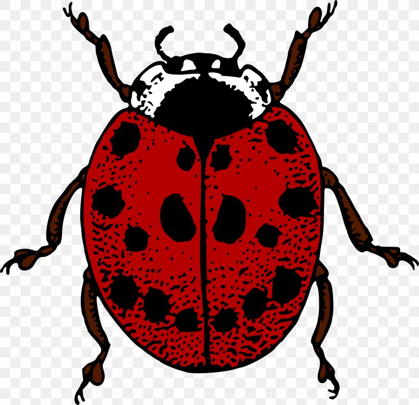 Beetle Ladybird Adrien Agreste Clip Art, PNG, 2400x2321px, Beetle, Adrien Agreste, Arthropod, Artwork, Coccinella Septempunctata Download Free