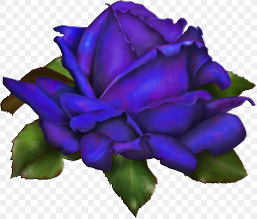 Drawing Rose Clip Art, PNG, 1387x1185px, Drawing, Blue, Blue Rose, Cobalt Blue, Color Download Free