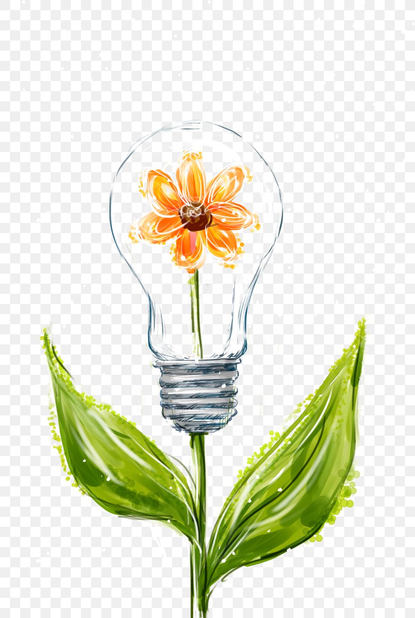 Incandescent Light Bulb Incandescent Light Bulb, PNG, 2050x3050px, Light, Bulb, Cut Flowers, Drinkware, Electric Light Download Free
