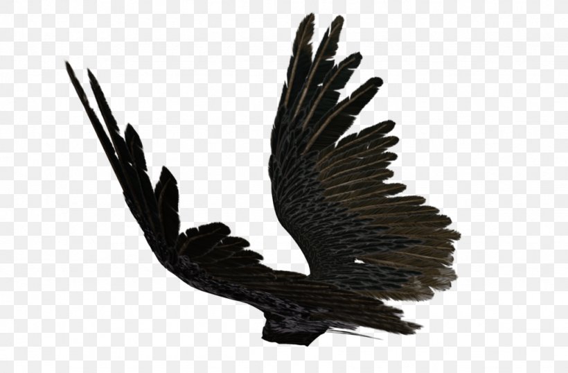 Wing Angel Clip Art, PNG, 1024x673px, Wing, Angel, Beak, Bird, Bird Of Prey Download Free