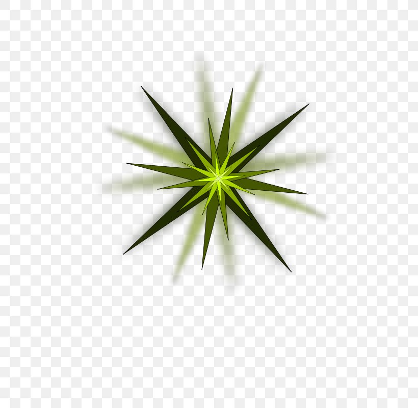 Green Star Clip Art, PNG, 566x800px, Green Star, Document, Grass, Leaf, Plant Download Free