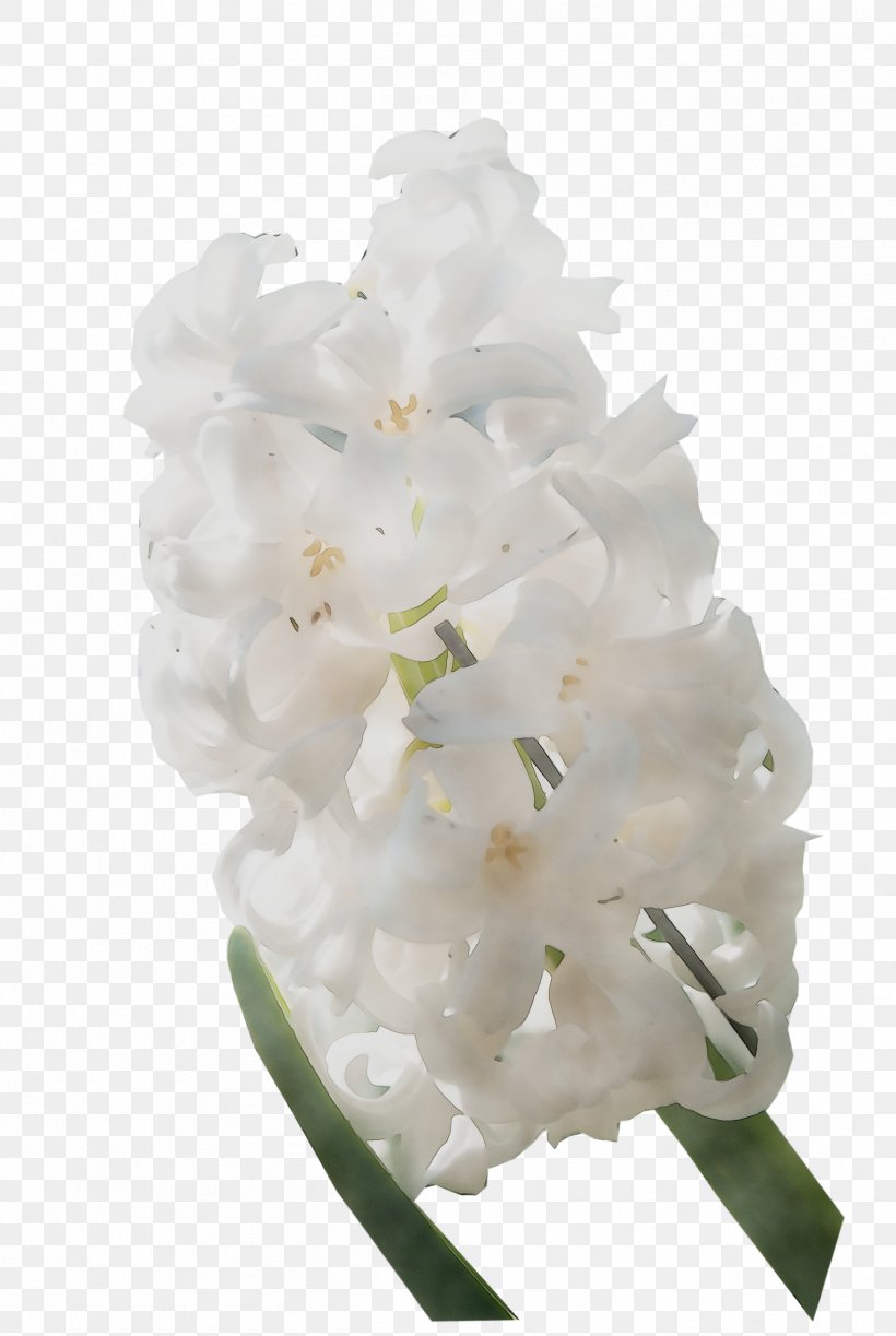 Hydrangea Cut Flowers, PNG, 2413x3601px, Hydrangea, Cornales, Cut Flowers, Flower, Flowering Plant Download Free