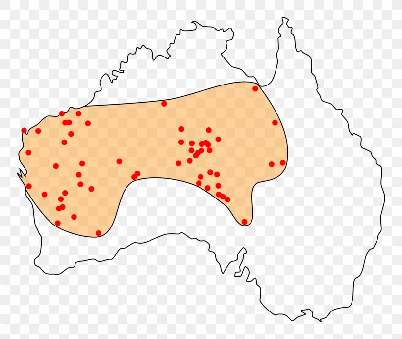 Indigenous Australians Perentie Western Civilization: A Brief History Dingo, PNG, 2000x1685px, Indigenous Australians, Area, Australia, Author, Dingo Download Free