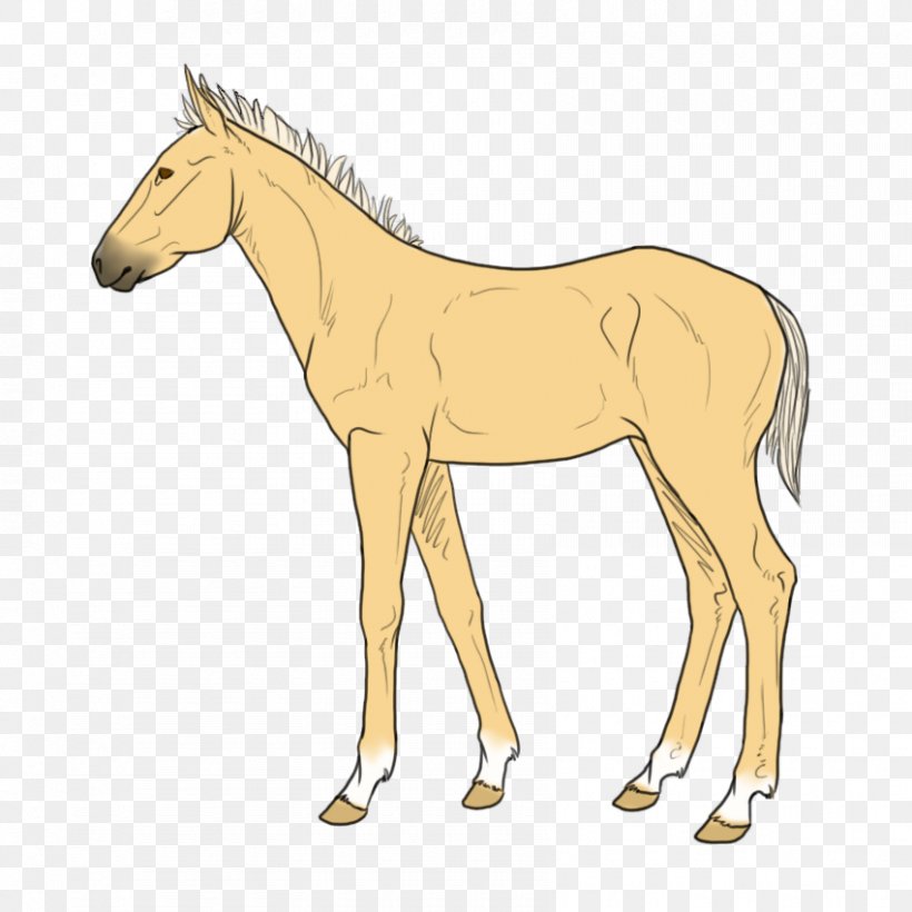 Mule Foal Stallion Mare Mustang, PNG, 850x850px, Mule, Animal Figure, Bridle, Colt, Fauna Download Free