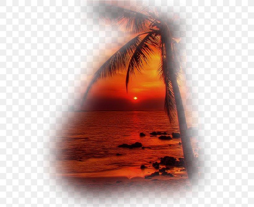Landscape GIF Image Desktop Wallpaper, PNG, 587x670px, Landscape, Animation, Blog, Calm, Forumactif Download Free