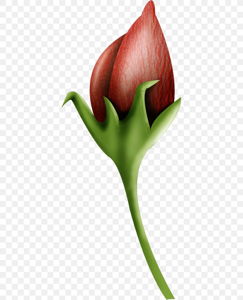 Clip Art, PNG, 405x1015px, Flower, Bird, Bud, Close Up, Easter Download Free