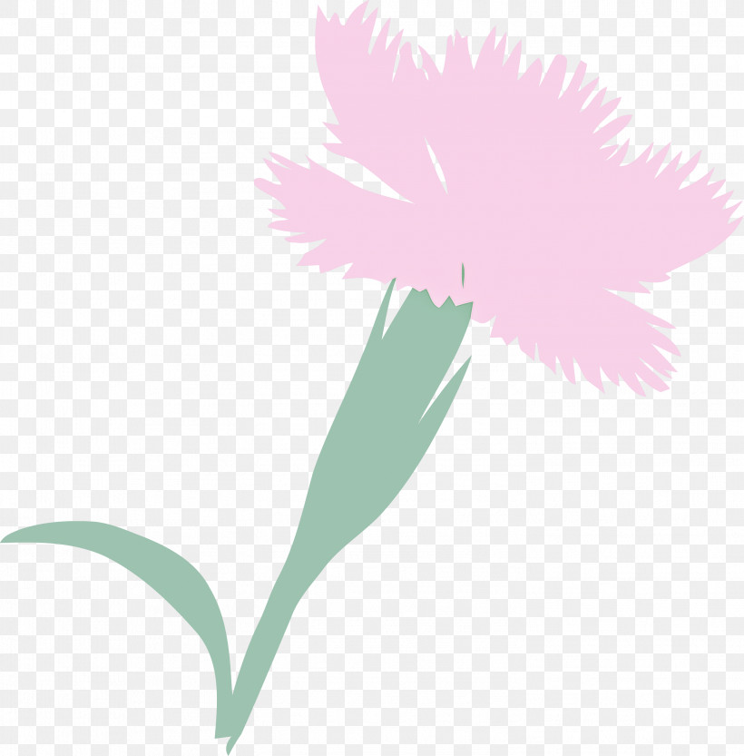 Feather, PNG, 2951x3000px, Pink, Dianthus, Feather, Flower, Leaf Download Free
