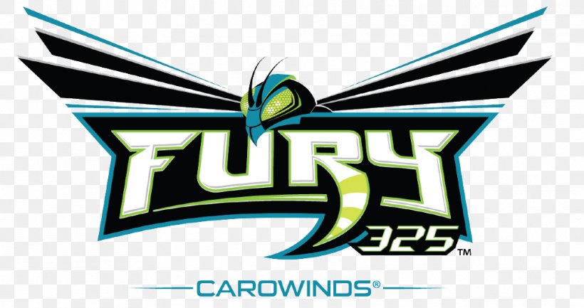 Fury 325 Millennium Force Roller Coaster Amusement Park Intimidator, PNG, 1009x533px, Roller Coaster, Amusement Park, Brand, Carousel, Carowinds Download Free
