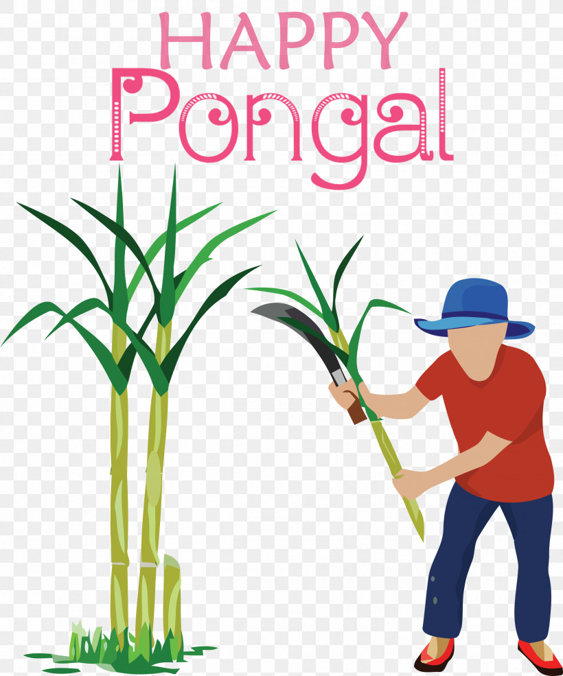Pongal Happy Pongal, PNG, 2496x3000px, Pongal, Cane, Drawing, Flowerpot, Grasses Download Free