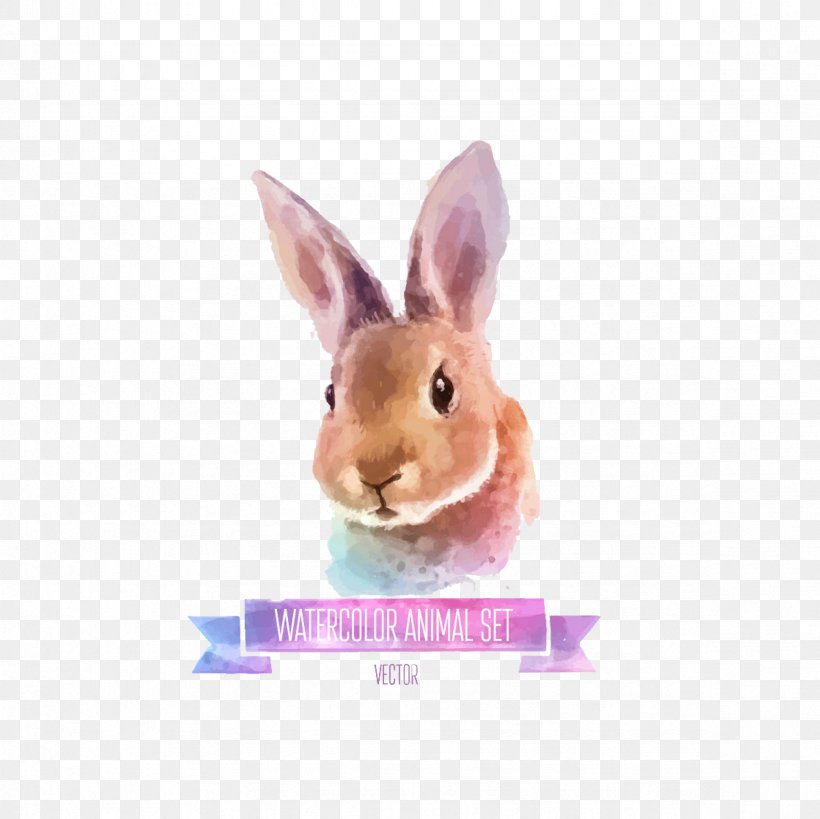 Rabbit Watercolor Painting Illustration, PNG, 2362x2362px, Rabbit, Art, Canvas, Domestic Rabbit, Drawing Download Free