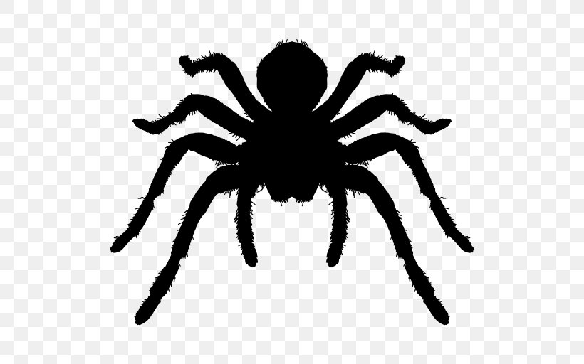 Spider Tarantula Insect Arthropod, PNG, 512x512px, Spider, Arachnid, Arthropod, Black And White, Brazilian Red And White Tarantula Download Free