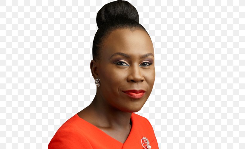 Tara Fela-Durotoye House Of Tara Cosmetics Leadership Beauty, PNG, 500x500px, Cosmetics, Beauty, Cheek, Chief Executive, Chin Download Free