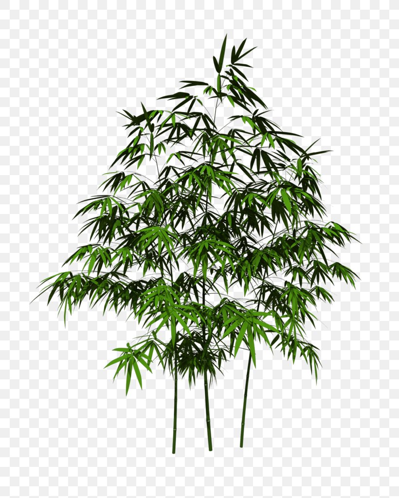 Bamboo Adobe Photoshop Design Plants, PNG, 700x1024px, 3d Modeling, Bamboo, Branch, Facade, Flowerpot Download Free