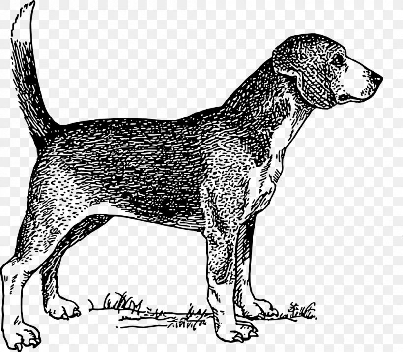 Beagle Labrador Retriever Puppy Pet Sitting Clip Art, PNG, 1000x874px, Beagle, American Foxhound, Black And White, Carnivoran, Coonhound Download Free