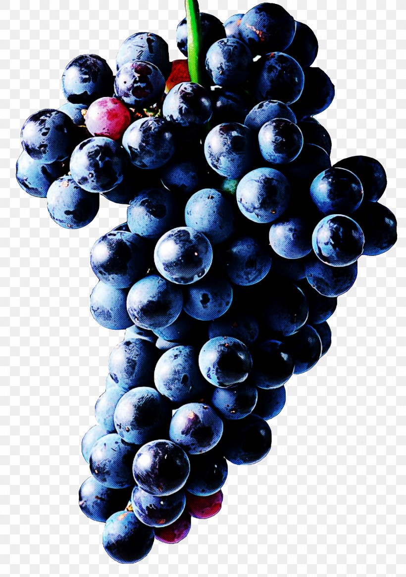 Grape Fruit Seedless Fruit Grapevine Family Berry, PNG, 1556x2213px, Grape, Berry, Bilberry, Food, Fruit Download Free