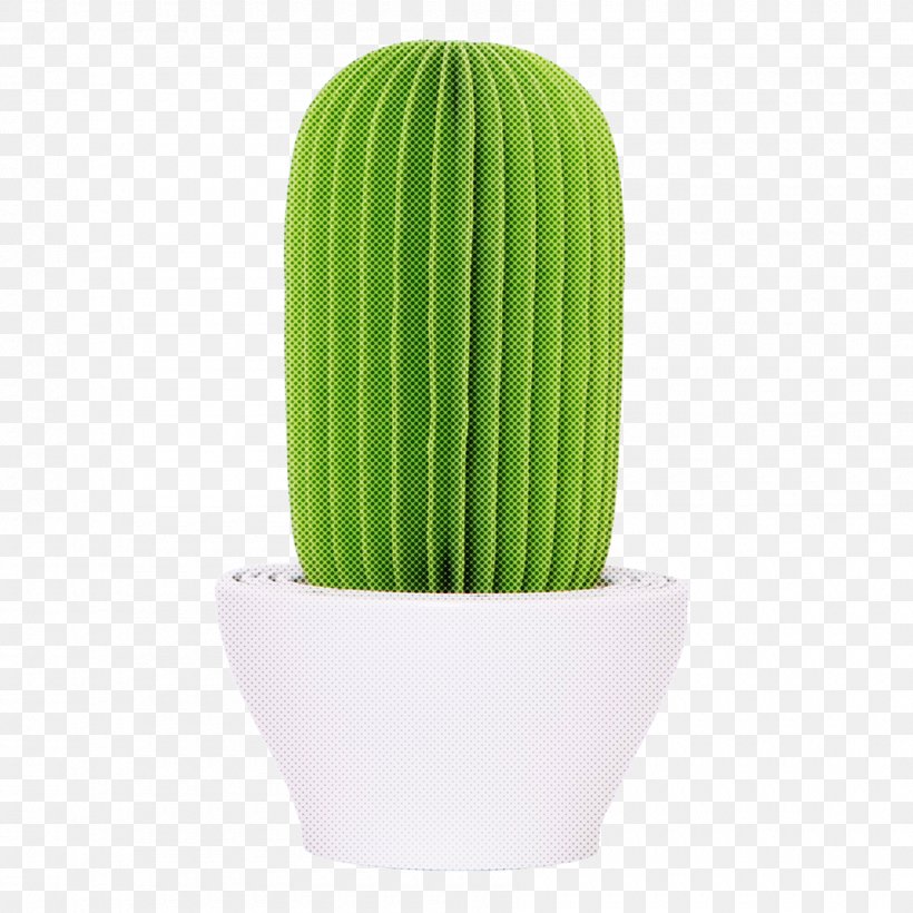 Green Grass Background, PNG, 1800x1800px, Green, Cactus, Ceramic, Flower, Flowerpot Download Free