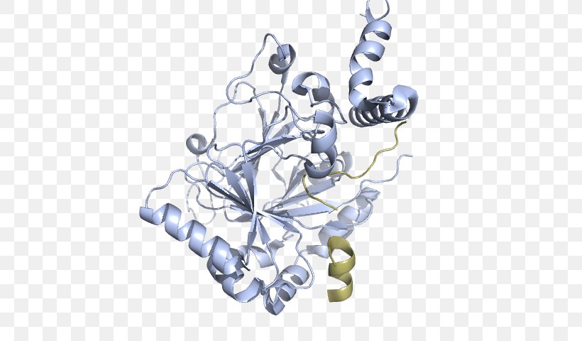 HIF1A PAS Domain Aryl Hydrocarbon Receptor Nuclear Translocator Protein, PNG, 640x480px, Protein, Body Jewellery, Body Jewelry, Character, Computer Download Free