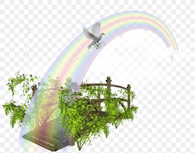 Rainbow Vector Graphics Download Image, PNG, 800x644px, 3d Computer Graphics, Rainbow, Aquarium Decor, Arch, Architecture Download Free