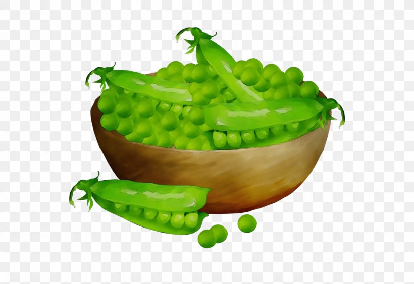 Vegetable Cartoon, PNG, 1280x880px, Watercolor, Bean, Bell Peppers And Chili Peppers, Bowl, Capsicum Download Free