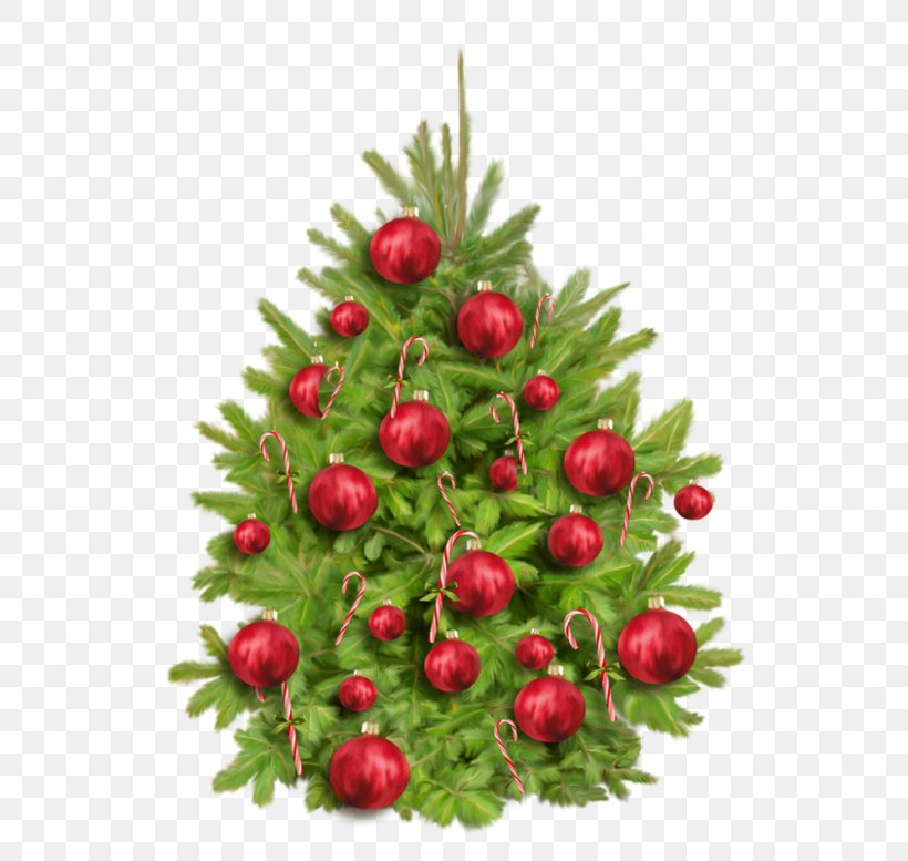 Christmas Tree Christmas Day Party Image New Year, PNG, 552x777px, Christmas Tree, American Larch, Berry, Birthday, Chinese Hawthorn Download Free
