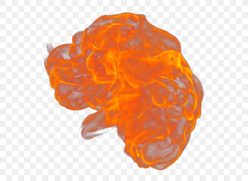 Fire Flame Llama Rendering Painting, PNG, 557x600px, Fire, Flame, Llama, Orange, Painting Download Free