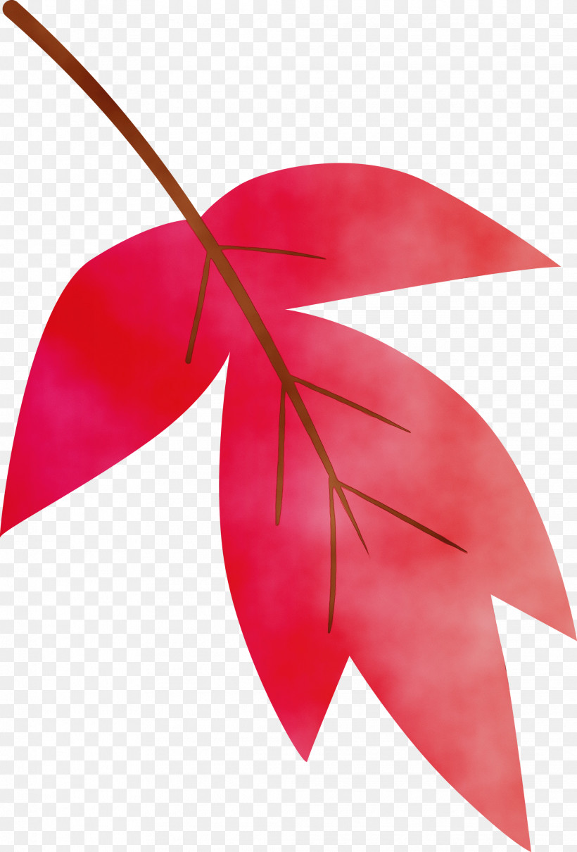 Leaf Red Plant Tree Anthurium, PNG, 2032x3000px, Watercolor Leaf, Anthurium, Flower, Leaf, Paint Download Free