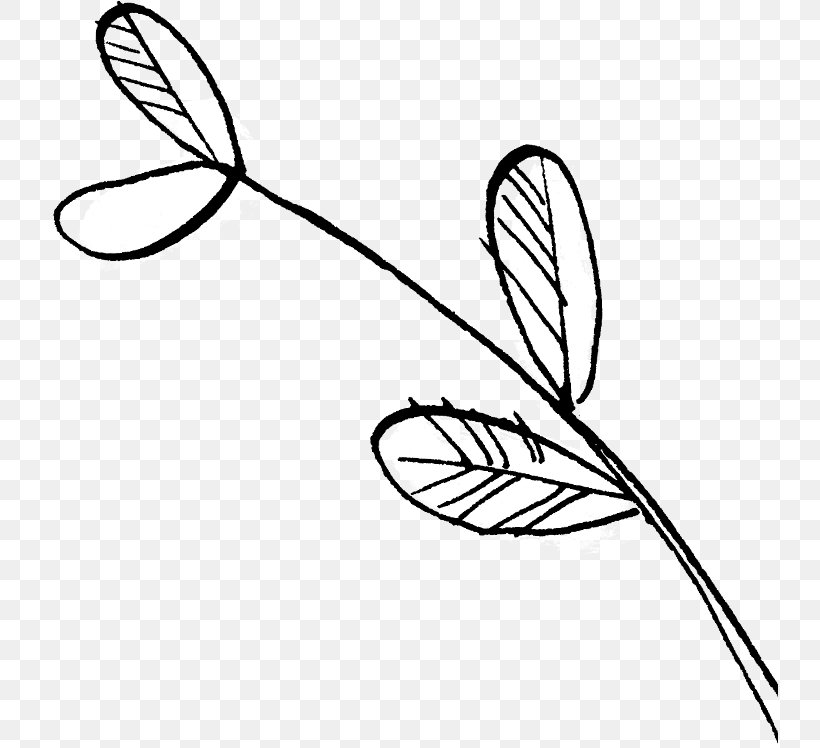 National Gardens Scheme Clip Art Insect District Nurse Plant Stem, PNG, 736x748px, Insect, Area, Artwork, Black And White, Branch Download Free