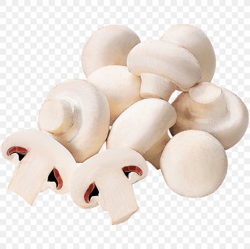 Common Mushroom REWE Filia Kaiserslautern DISCOUNTO GmbH, PNG, 1600x1600px, Common Mushroom, Agaricaceae, Agaricus, Champignon Mushroom, Discounto Gmbh Download Free