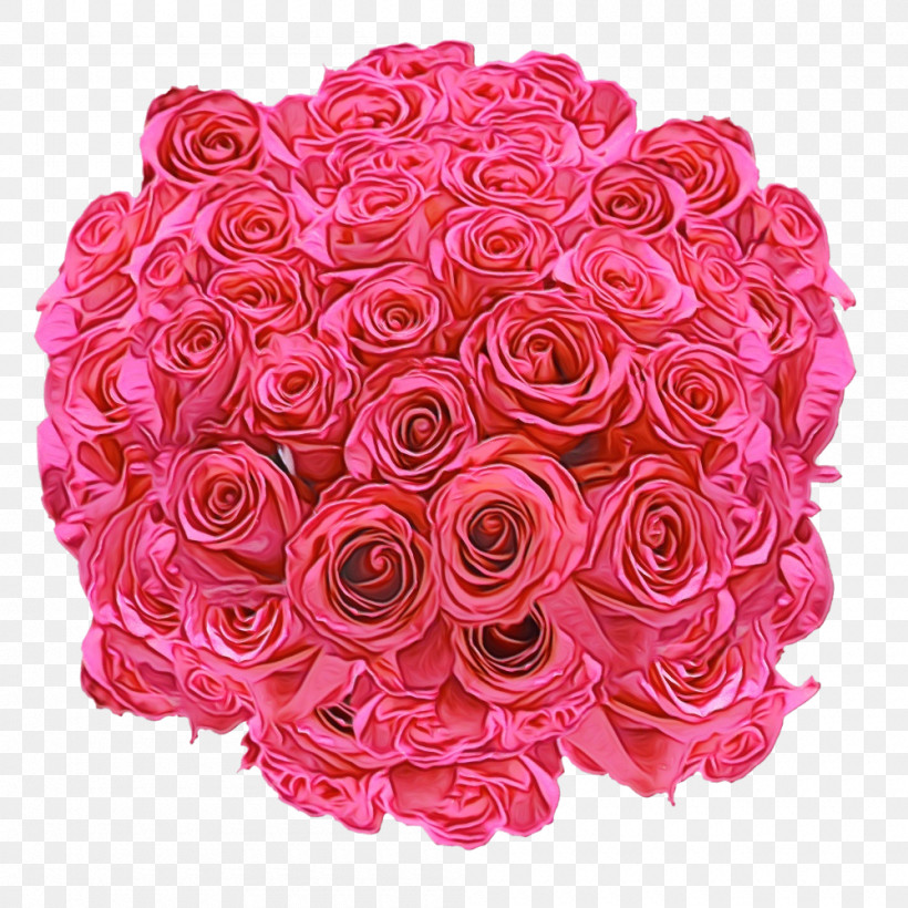 Garden Roses, PNG, 1000x1000px, Watercolor, Artificial Flower, Cabbage Rose, Floral Design, Floribunda Download Free